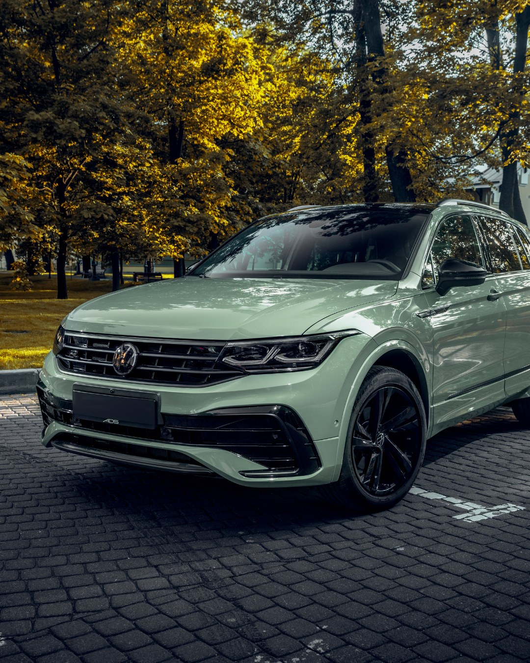 Vinilo CG23-HD MOSS GREEN | – TeckWrap - Imagen 2